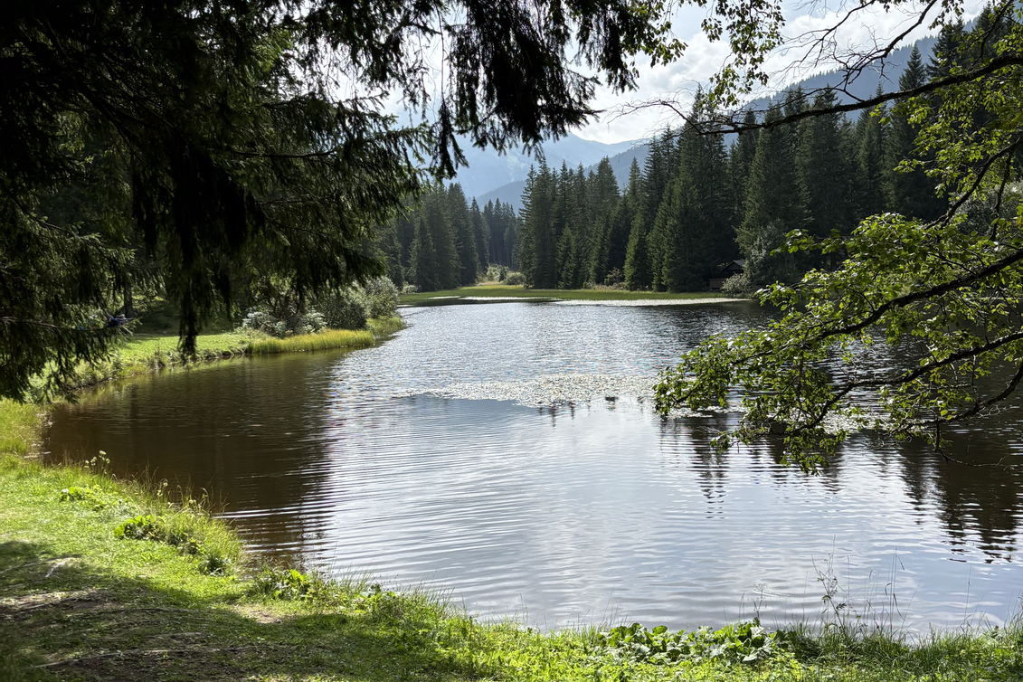 Weberteich - Hohentauern | © Erlebnisregion Murtal | Selina Senft