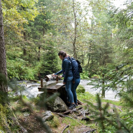 Granitzenbach Obdach | © Erlebnisregion Murtal | Anita Fössl