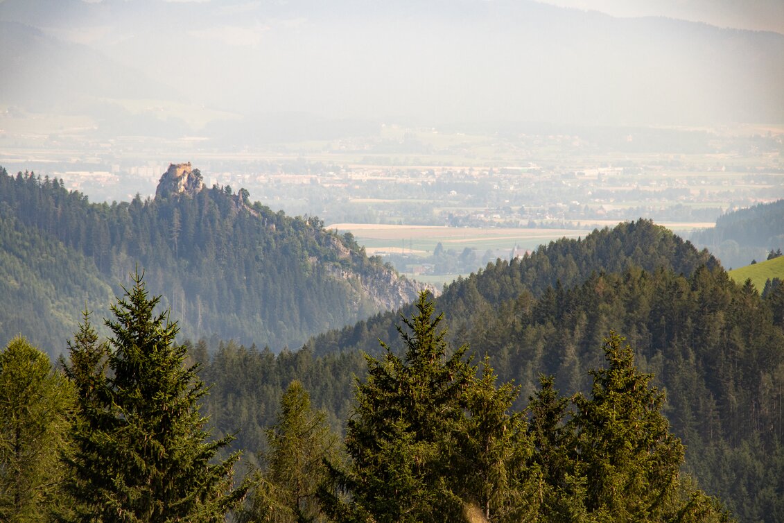 © Isabella Painhapp | Isabella Painhapp