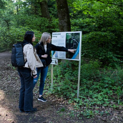 Zeltweg - Forest nature trail | © Erlebnisregion Murtal | Anita Fössl