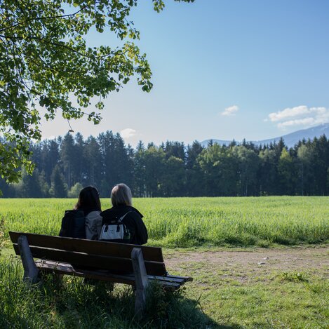 Zeltweg - Forest nature trail | © Erlebnisregion Murtal | Anita Fössl