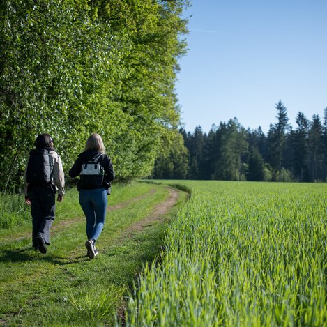 Zeltweg - Forest nature trail | © Erlebnisregion Murtal | Anita Fössl Fotografie
