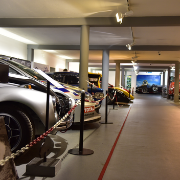 Beetle Museum exhibition | © Anita Fössl  | TV Murtal