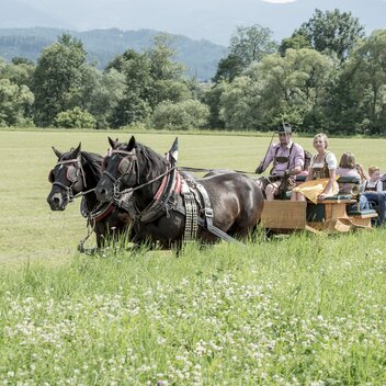 Horse carriage ride | © Kutschenfahrten Deutinger | TV Murtal