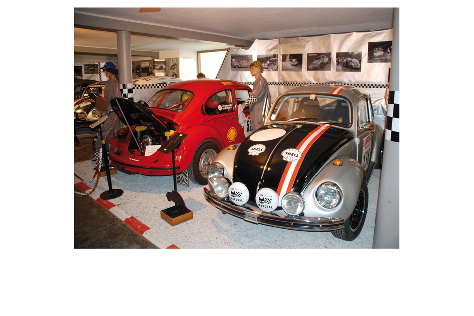 Beetle Museum exhibition | © Käfermuseum | TV Murtal