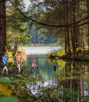 Design ohne Titel - 1