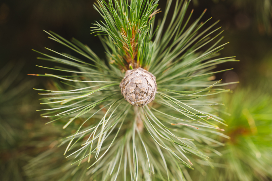 © Karl Steinegger Photography | Erlebnisregion Murtal
