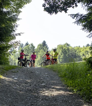 © Erlebnisregion Murtal |  Tom Lamm