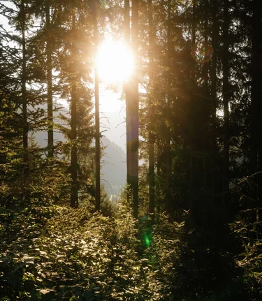 © Erlebnisregion Murtal |  Karl Steinegger