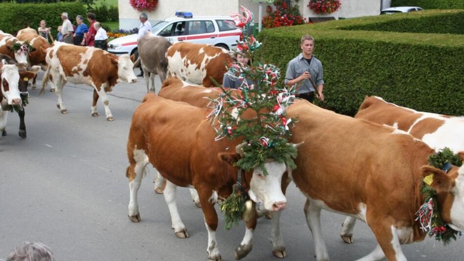 Gaal - Impression #2.2