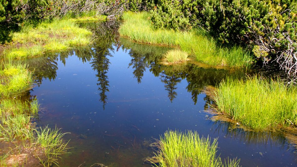 St. Marein - Feistritz - Impression #2.4