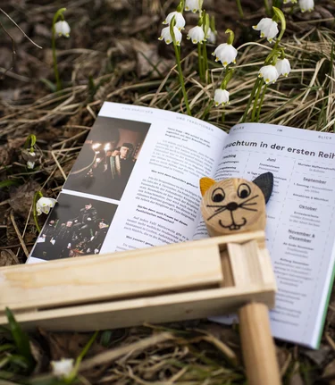 Ratchet custom | © Anita Fössl  | TV Murtal