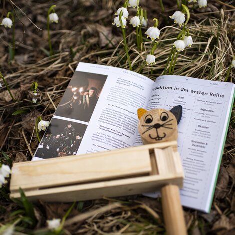 Ratchet custom | © Anita Fössl  | TV Murtal