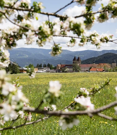 Spring Abbey Seckau | © Anita Fössl  | TV Murtal
