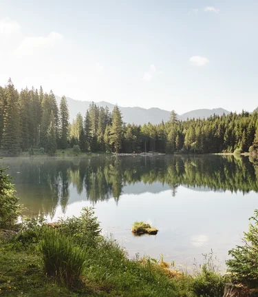 Landschaft | © Michael Königshofer | TV Murtal