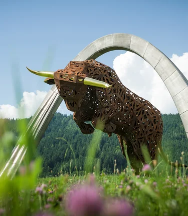 Bull | © Philip Platzer | TV Murtal