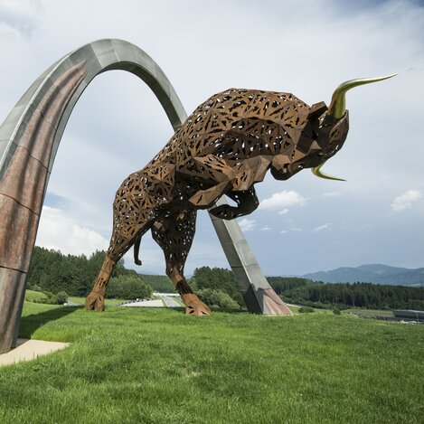 Bulle am Ring | © Philip Platzer | TV Murtal