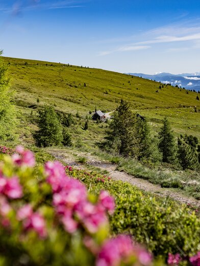 Hiking | © Anita Fössl  | TV Murtal