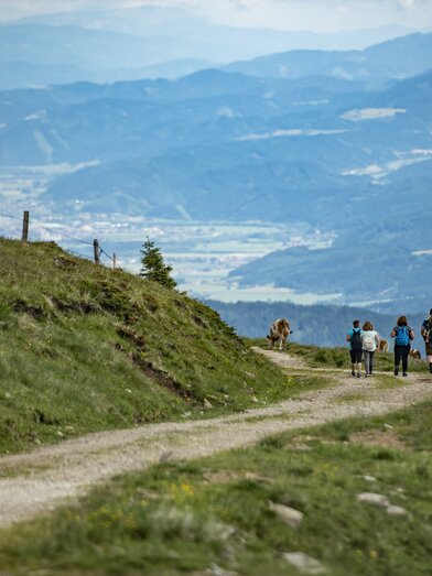 Hiking | © Anita Fössl  | TV Murtal