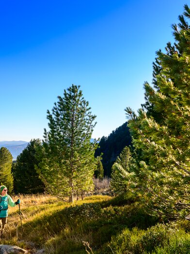 Hiking | © Robert Sommerauer | TV Murtal