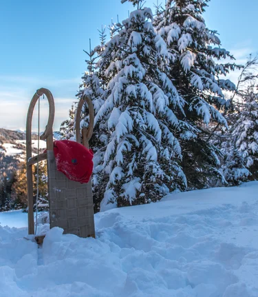 Sledding Murtal | © Anita Fössl  | TV Murtal