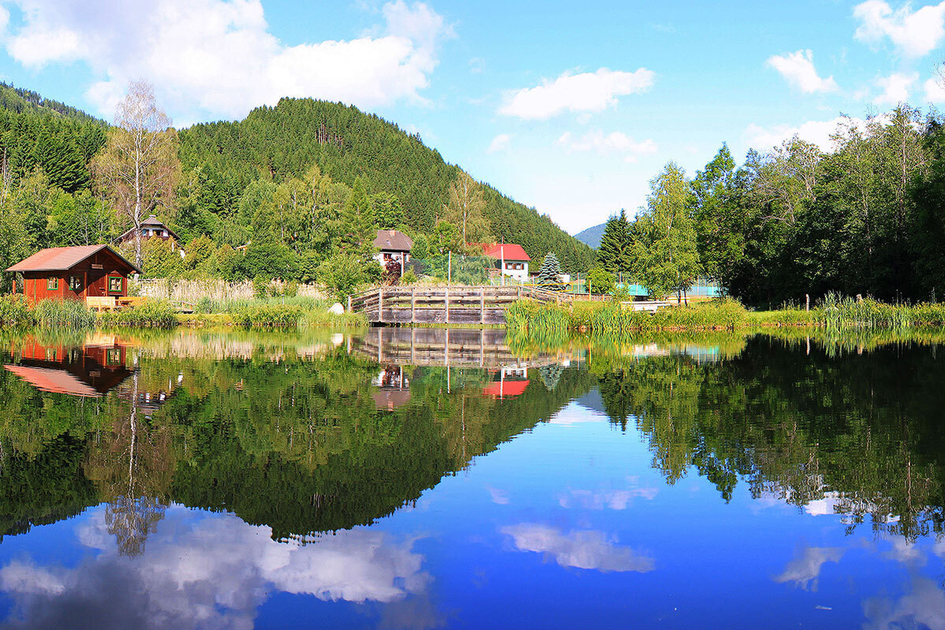  bathing pond | © Gaalerhof | TV Murtal