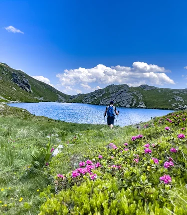 © Anita Fössl  | TV Murtal