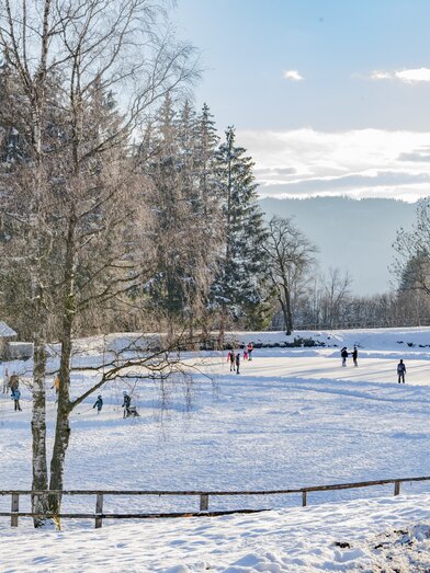 Eislaufen Weiermoarteich | © Anita Fössl  | TV Murtal