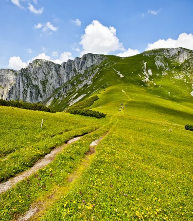 © TV Hochsteiermark | Tom Lamm