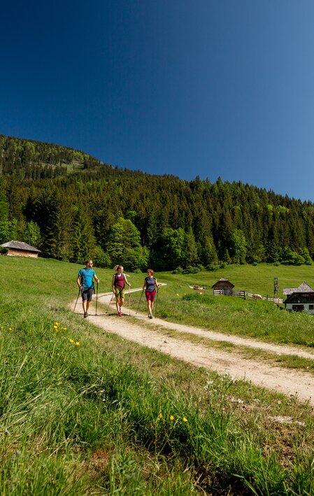 Falkensteinalm | © TV Hochsteiermark | nicoleseiser.at