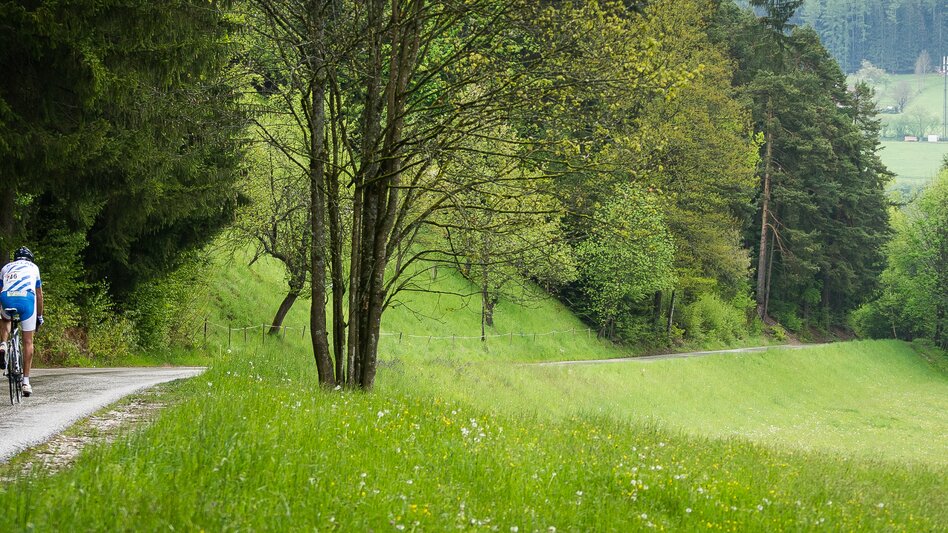 Kindberg - Impression #2.3