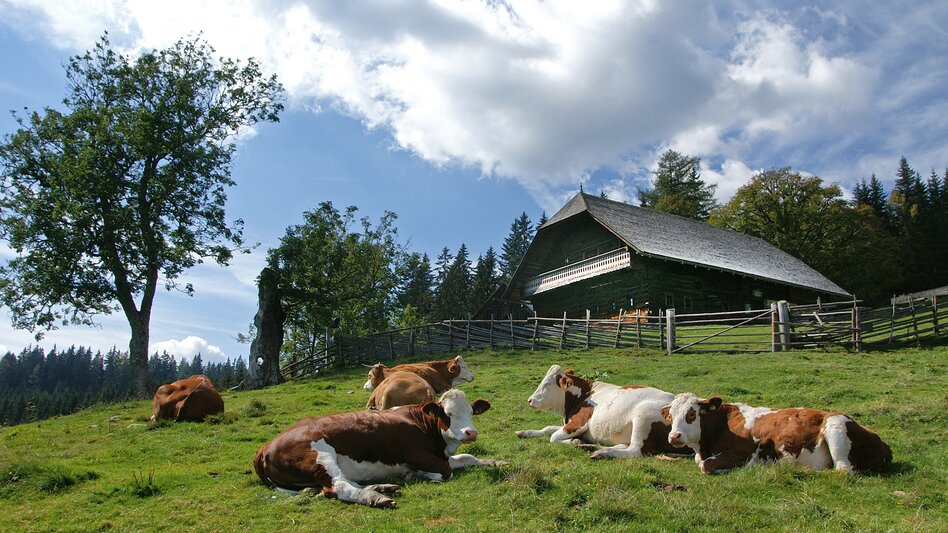 Krieglach - Impression #2.6