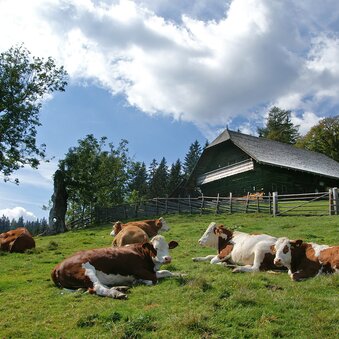 © Jakob Hiller | Harry Schiffer