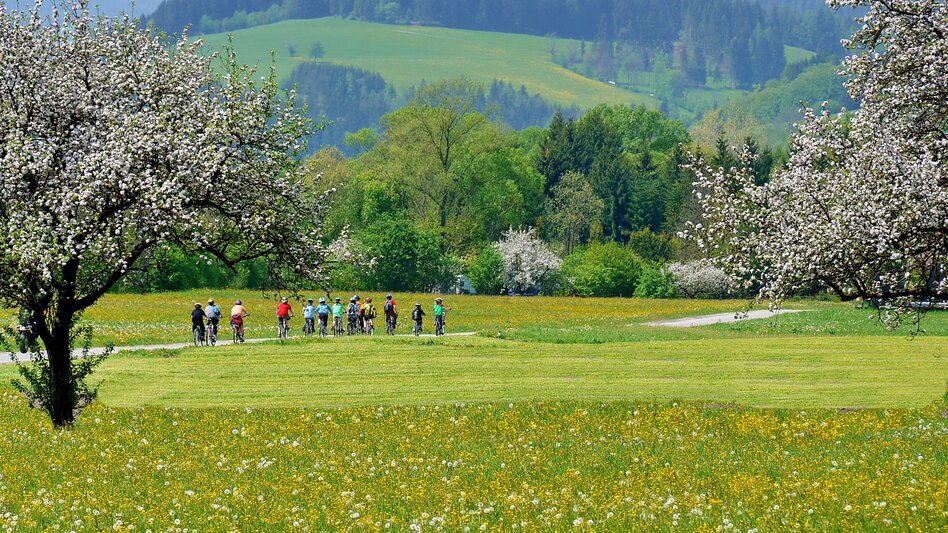 Langenwang - Impression #2.1