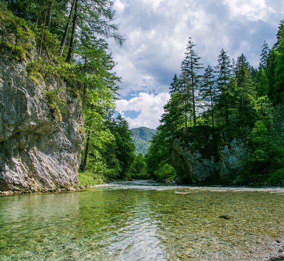 © Naturpark Mürzer Oberland | nicoleseiser.at
