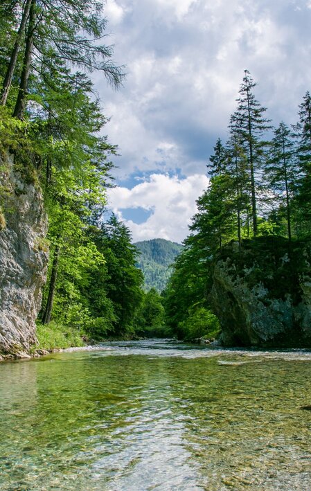 © Naturpark Mürzer Oberland | nicoleseiser.at
