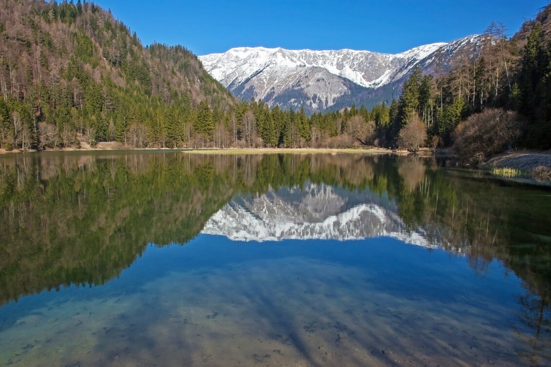 Turnau - Impression #1