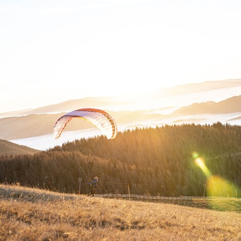 © Paracenter Austria | Melanie Meisenbichler