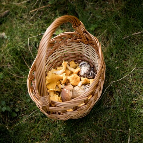 © TV Hochsteiermark | nicoleseiser.at