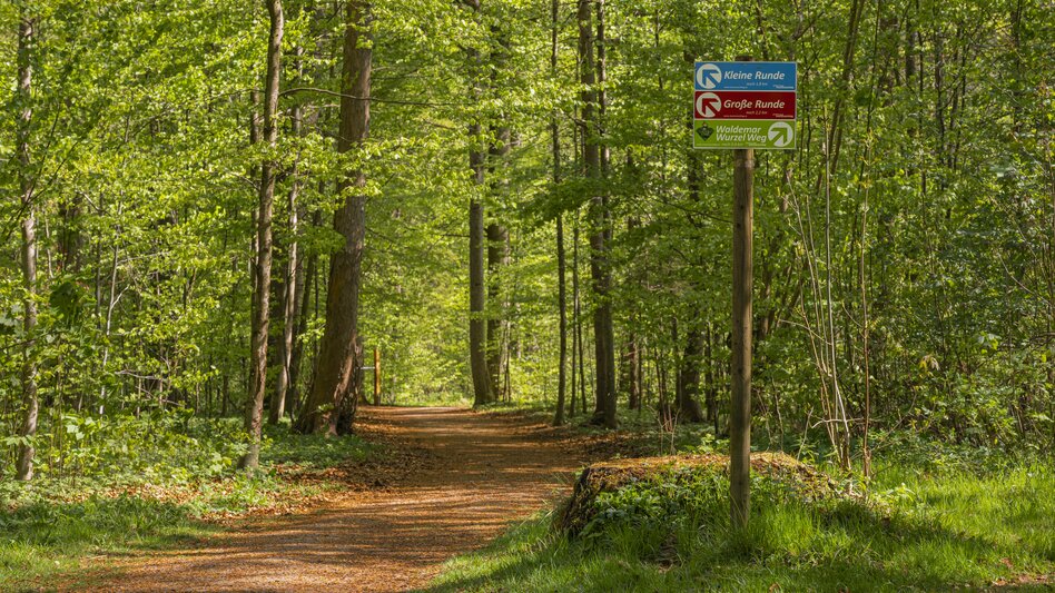 Mürzzuschlag - Impression #2.5