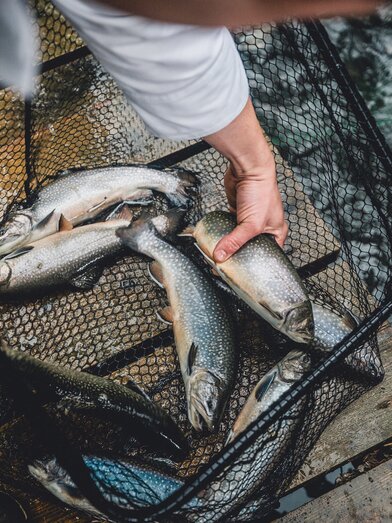 © Gasthof Schäffer | nicoleseiser.at