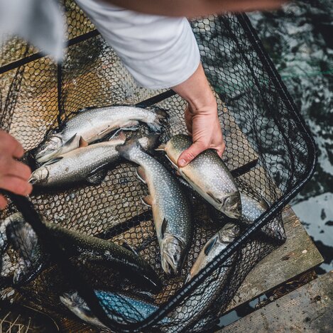 © Gasthof Schäffer | nicoleseiser.at