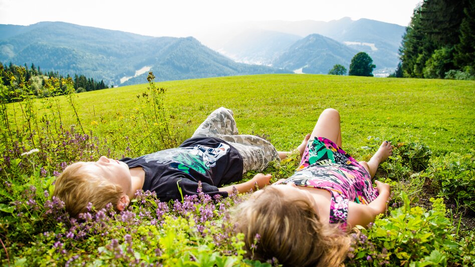 Wald der Sinne | © Naturpark Mürzer Oberland | nicoleseiser.at