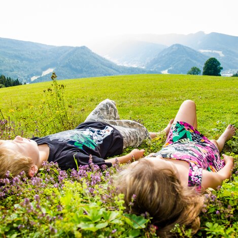 © Naturpark Mürzer Oberland | nicoleseiser.at