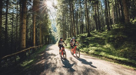 © TV Hochsteiermark | nicoleseiser.at