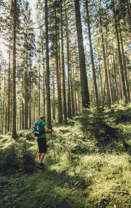 © TV Hochsteiermark | nicoleseiser.at