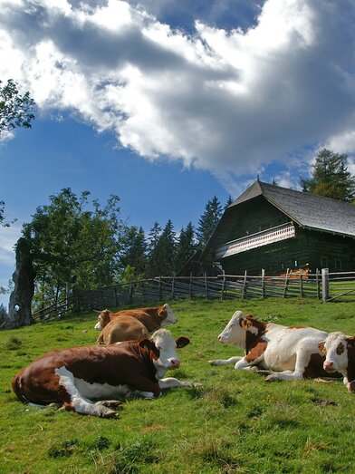 © Jakob Hiller | Jakob Hiller