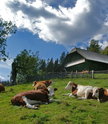 © Jakob Hiller | Jakob Hiller