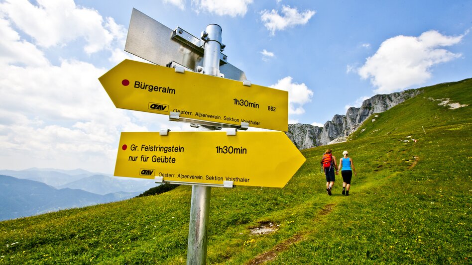 © Steiermark Tourismus | Tom Lamm