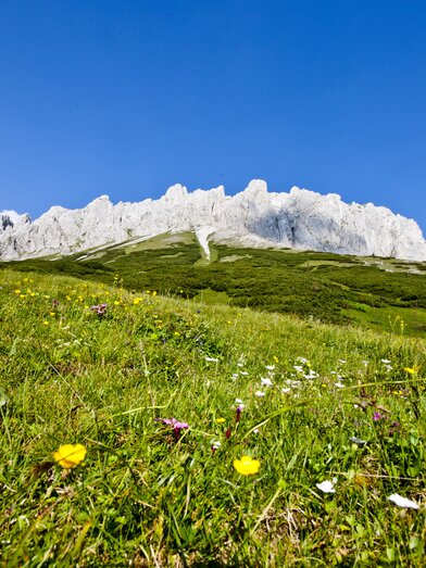 © TV Hochsteiermark | Tom Lamm